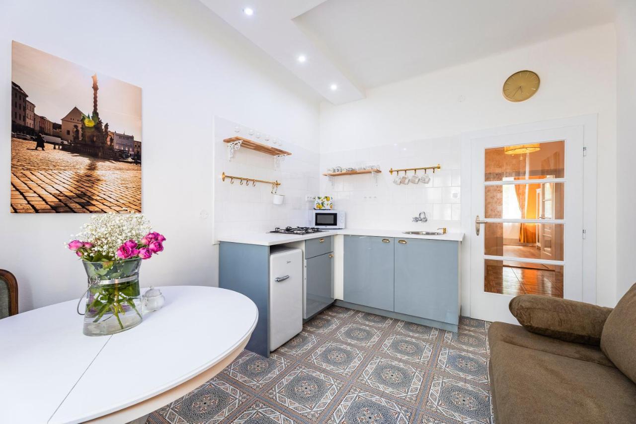 Silvie Apartments - Masaryk Dolni Alamóc Kültér fotó