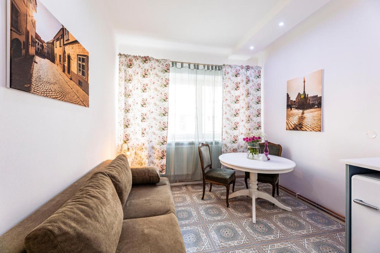 Silvie Apartments - Masaryk Dolni Alamóc Kültér fotó